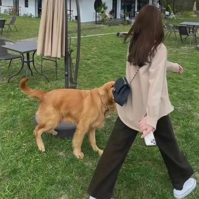 马格达拉